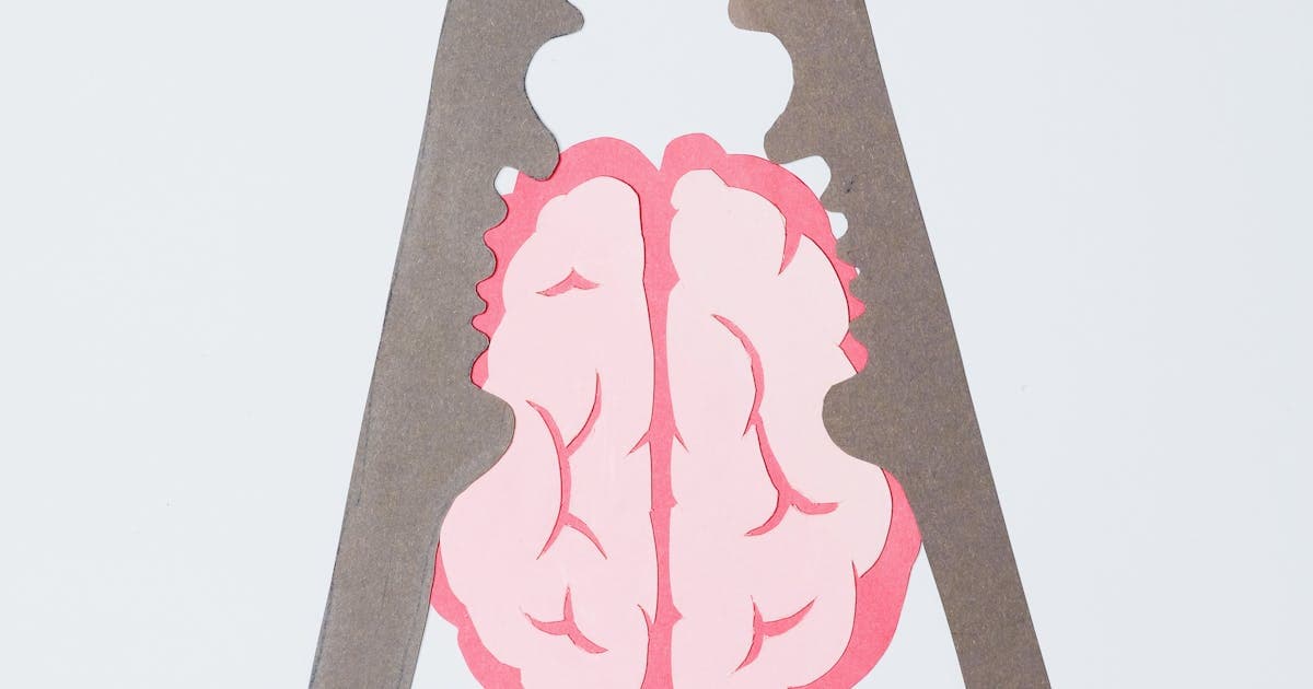 Representação artística de um cérebro em um quebra-nozes, simbolizando o sentido mais profundo por trás de conceitos simples