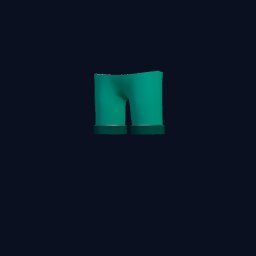 Pants Shorts 1